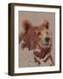 Big Bear II-Jacob Green-Framed Art Print