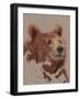 Big Bear II-Jacob Green-Framed Art Print