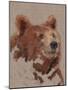 Big Bear II-Jacob Green-Mounted Art Print