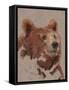 Big Bear II-Jacob Green-Framed Stretched Canvas