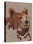 Big Bear II-Jacob Green-Stretched Canvas