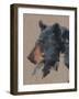 Big Bear IV-Jacob Green-Framed Art Print