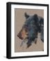 Big Bear IV-Jacob Green-Framed Art Print