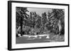 Big Bear Lake, CA in the Winter Snow View Photograph - Big Bear Lake, CA-Lantern Press-Framed Art Print