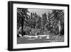 Big Bear Lake, CA in the Winter Snow View Photograph - Big Bear Lake, CA-Lantern Press-Framed Art Print