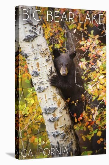 Big Bear Lake, California - Bear in Birch Tree-Lantern Press-Stretched Canvas