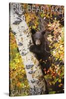 Big Bear Lake, California - Bear in Birch Tree-Lantern Press-Stretched Canvas