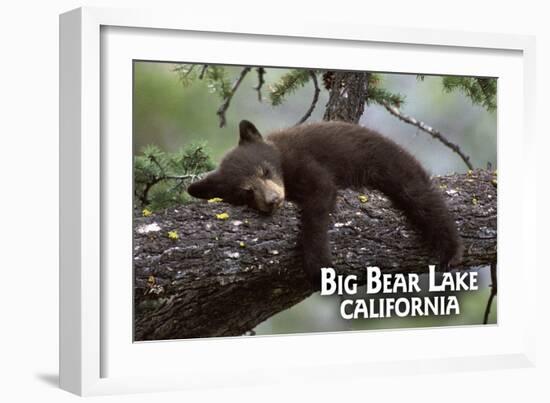 Big Bear Lake, California - Black Bear in Tree-Lantern Press-Framed Art Print