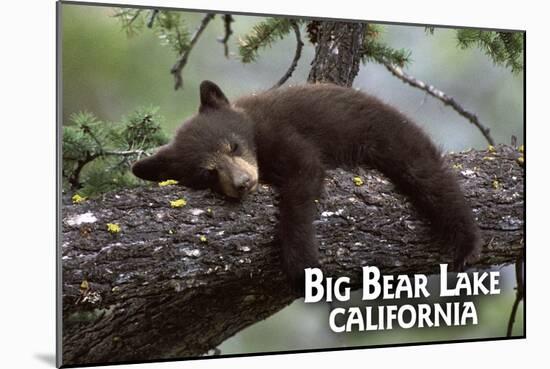 Big Bear Lake, California - Black Bear in Tree-Lantern Press-Mounted Art Print