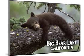 Big Bear Lake, California - Black Bear in Tree-Lantern Press-Mounted Art Print