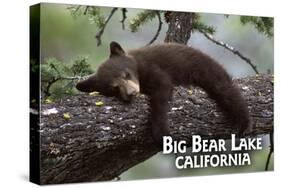 Big Bear Lake, California - Black Bear in Tree-Lantern Press-Stretched Canvas