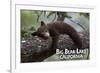 Big Bear Lake, California - Black Bear in Tree-Lantern Press-Framed Premium Giclee Print