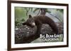 Big Bear Lake, California - Black Bear in Tree-Lantern Press-Framed Premium Giclee Print