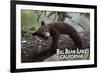 Big Bear Lake, California - Black Bear in Tree-Lantern Press-Framed Premium Giclee Print