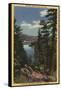 Big Bear Lake, California - View of the Lake through the Pines No. 2-Lantern Press-Framed Stretched Canvas