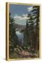 Big Bear Lake, California - View of the Lake through the Pines No. 2-Lantern Press-Stretched Canvas