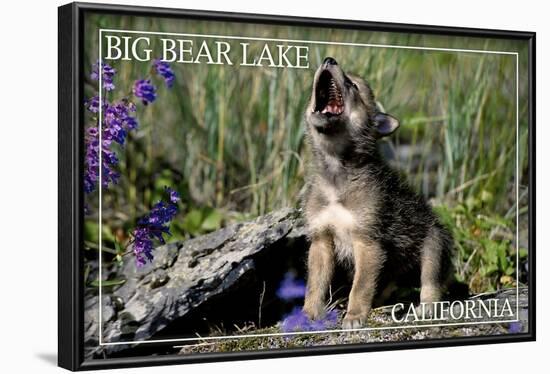 Big Bear Lake, California - Wolf Pup Howling-Lantern Press-Framed Art Print