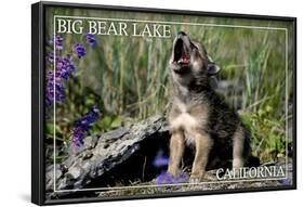 Big Bear Lake, California - Wolf Pup Howling-Lantern Press-Framed Art Print