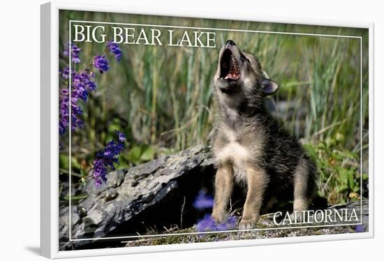 Big Bear Lake, California - Wolf Pup Howling-Lantern Press-Framed Art Print