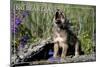Big Bear Lake, California - Wolf Pup Howling-Lantern Press-Mounted Art Print
