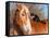 Big Belgian Draft Horse With A Long Haired Black And White Cat Sitting On His Back-Sari ONeal-Framed Stretched Canvas
