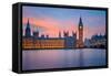 Big Ben and Houses of Parliament at Dusk, London, UK-sborisov-Framed Stretched Canvas