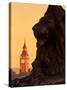 Big Ben from Trafalgar Sq. London, England-Doug Pearson-Stretched Canvas