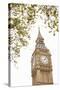 Big Ben IX-Karyn Millet-Stretched Canvas