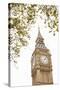 Big Ben IX-Karyn Millet-Stretched Canvas