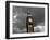 Big Ben Mono-Toula Mavridou-Messer-Framed Photographic Print