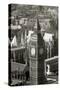 Big Ben View II-Chris Bliss-Stretched Canvas