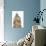 Big Ben VIII-Karyn Millet-Photographic Print displayed on a wall