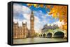 Big Ben with Autumn Leaves, London-sborisov-Framed Stretched Canvas