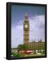 Essential Black
