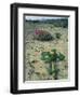 Big Bend National Park, Chihuahuan Desert, Texas, USA Strawberry Cactus and Prickly Pear Cactus-Rolf Nussbaumer-Framed Premium Photographic Print