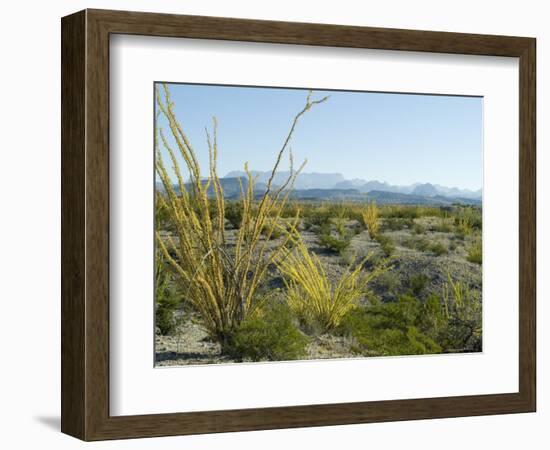 Big Bend National Park, Texas, USA-Ethel Davies-Framed Photographic Print