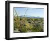 Big Bend National Park, Texas, USA-Ethel Davies-Framed Photographic Print