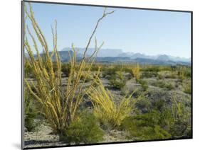 Big Bend National Park, Texas, USA-Ethel Davies-Mounted Photographic Print