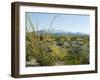 Big Bend National Park, Texas, USA-Ethel Davies-Framed Photographic Print