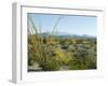 Big Bend National Park, Texas, USA-Ethel Davies-Framed Photographic Print