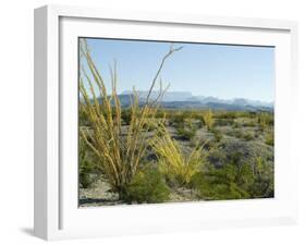 Big Bend National Park, Texas, USA-Ethel Davies-Framed Photographic Print