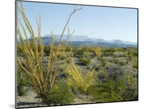 Big Bend National Park, Texas, USA-Ethel Davies-Mounted Photographic Print