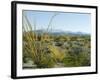 Big Bend National Park, Texas, USA-Ethel Davies-Framed Photographic Print