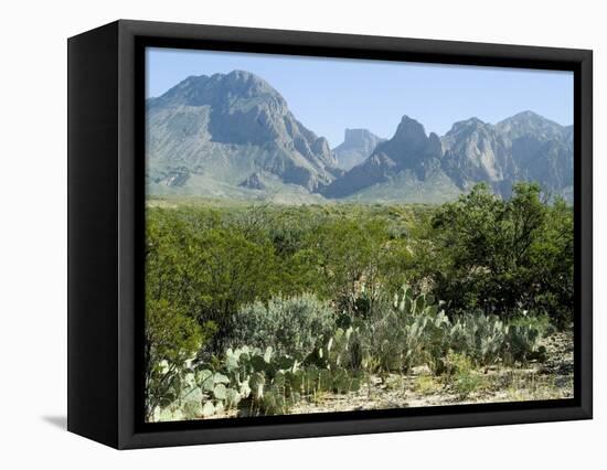 Big Bend National Park, Texas, USA-Ethel Davies-Framed Stretched Canvas