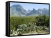 Big Bend National Park, Texas, USA-Ethel Davies-Framed Stretched Canvas