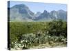 Big Bend National Park, Texas, USA-Ethel Davies-Stretched Canvas