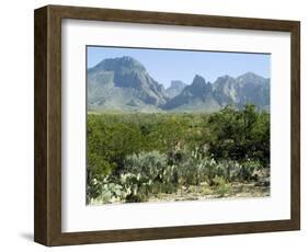 Big Bend National Park, Texas, USA-Ethel Davies-Framed Photographic Print