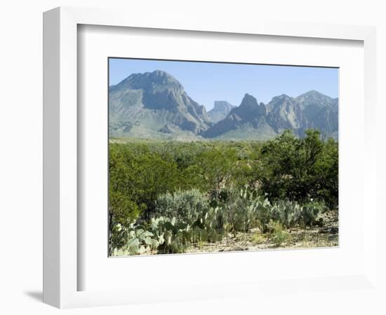 Big Bend National Park, Texas, USA-Ethel Davies-Framed Photographic Print