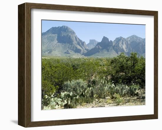 Big Bend National Park, Texas, USA-Ethel Davies-Framed Photographic Print