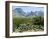 Big Bend National Park, Texas, USA-Ethel Davies-Framed Photographic Print